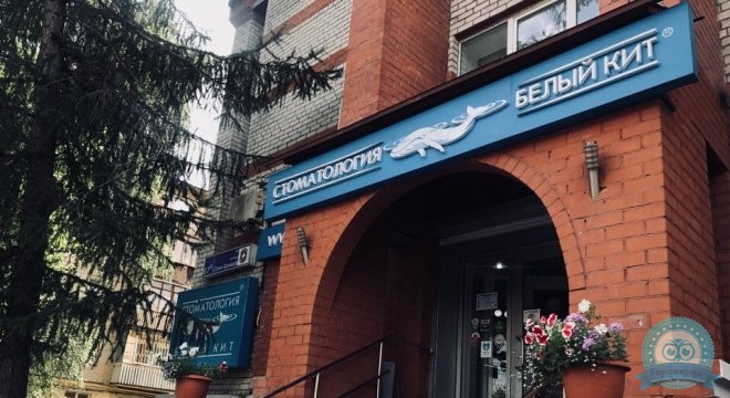 Белый Кит